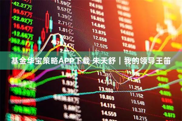 基金华宝策略APP下载 朱天舒｜我的领导王笛